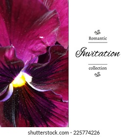 Invitation card with a violet. Romantic template with viola petals. Poster with romantic floral view. Wedding invitation in romantic style.