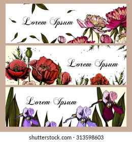 Invitation cards with pictures of flowers. Peonies, poppies, irises. Place for your text. Vector.