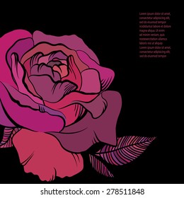 Invitation cards with roses