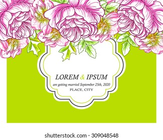 Invitation with floral background