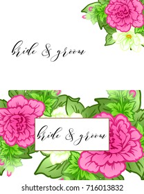 Invitation with floral background