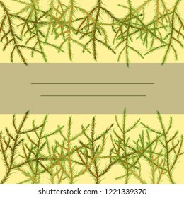 Invitation frame of pine branches, on a light yellow background, vector