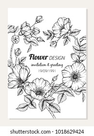 Invitation and greeting card design with Roses flower drawing  illustration. 