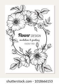 Invitation and greeting card design with Roses flower frame drawing  illustration. 