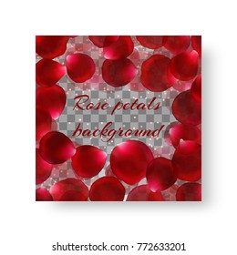 Invitation template for a party with beautiful rose petals