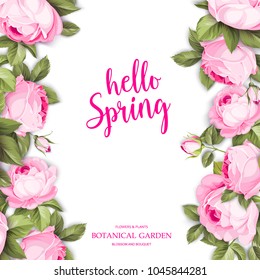 Invitation text card with Hello Spring sign. Blooming rose garland at the edge of invitation card isolated over white background and text place. Vector illustration.