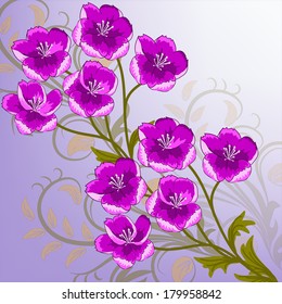 Invitation or wedding card with abstract floral background.