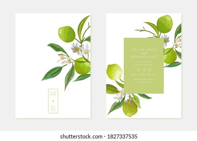 Invitation wedding lime vector card, vintage Save the Date, template design of limes, citrus fruit, flowers and leaves, blossom illustration.  Trendy cover, graphic poster, brochure