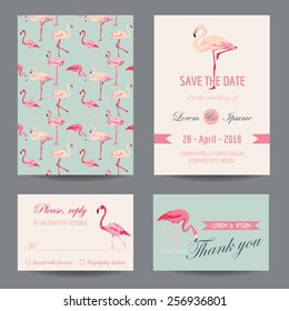 Invitation/Congratulation Card Set - Flamingo Theme - in vector