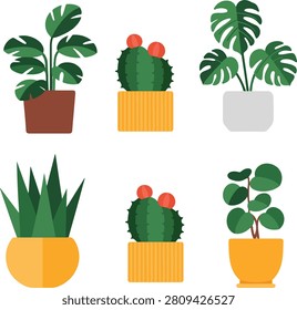 An inviting collection of six distinct potted house plants in various styles, perfect for home decor, botanical themes, or indoor gardening concepts.