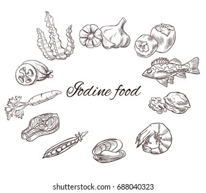 Iodine food vector sketch set, icons with black contour, medicine infographics or diet concept, persimmon, feijoa, sea bass, milk, carrot, garlic, walnut, salmon steak, pea, mussel, shrimp, seaweed