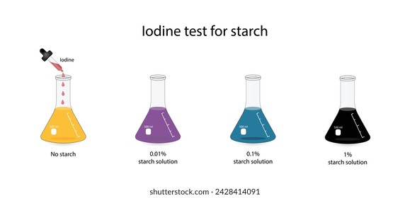 Prueba de yodo para almidón, experimento químico. Hidratos de carbono en una muestra de alimentos o cosméticos. Prueba positiva, azul oscuro, almidón presente. Biología, química. Ilustración vectorial.