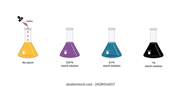 Prueba de yodo para almidón, experimento químico. Hidratos de carbono en una muestra de alimentos o cosméticos. Prueba positiva, azul oscuro, almidón presente. Biología, química. Ilustración vectorial.