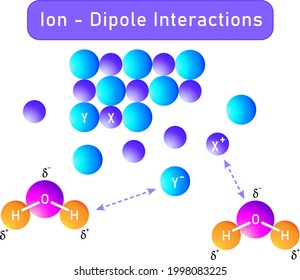 ion dipole interactions between ionic compounds and polar solvents