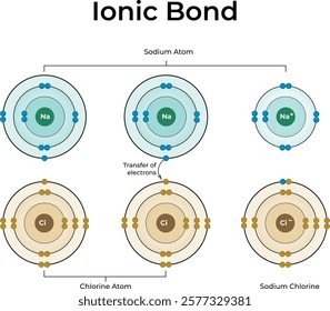 Ionic Bond Formation Design Vector Illustration