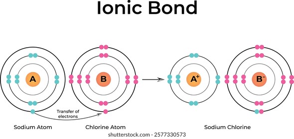 Ionic Bond Formation Design Vector Illustration