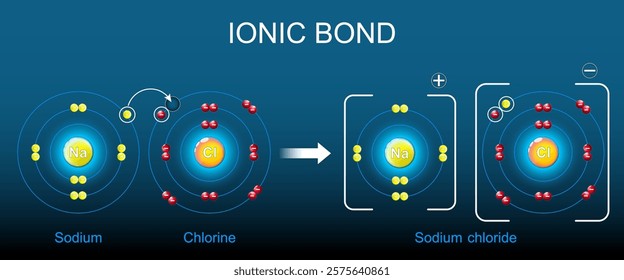 Ionic bond structure. Formation of NaCl. Cation and Anion. Electron transfer. Valence electron. Ionic compound. Vector illustration. 