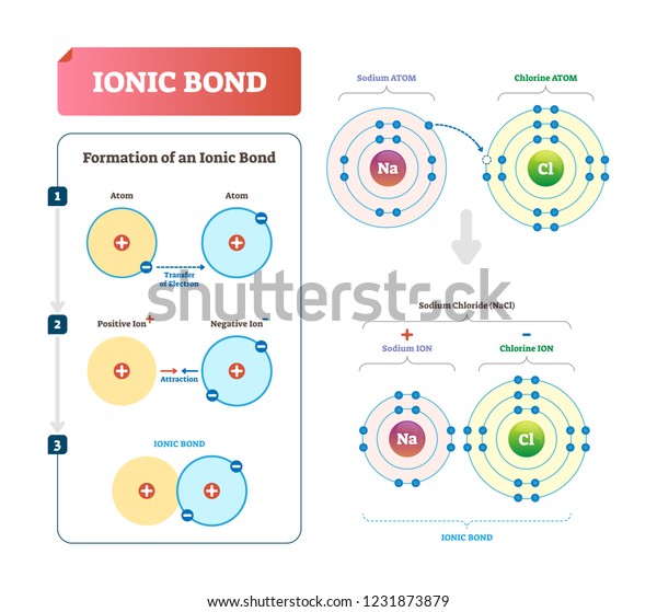 Ionic bond vector illustration. Labeled\
diagram with formation explanation. Type of chemical bonding that\
involves electrostatic attraction between oppositely charged\
particles and atom\
interaction.