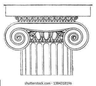 Ionic Capital from the Temple of Minerva Polias at Priene,  the Doric echinus,  a cyma ornamented with leaves, a pearl-beading beneath, vintage line drawing or engraving illustration.