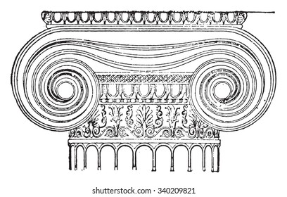 Ionic capital, vintage engraved illustration. Industrial encyclopedia E.-O. Lami - 1875.
