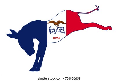 The Iowa Democrat Party Donkey Flag Over A White Background