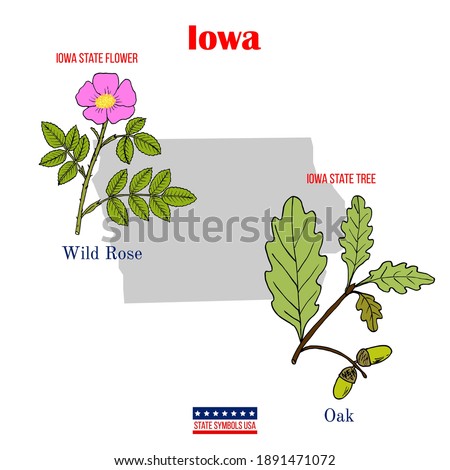 Iowa. Set of USA official state symbols. Vector hand drawn illustration