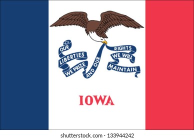 Iowa State Flag