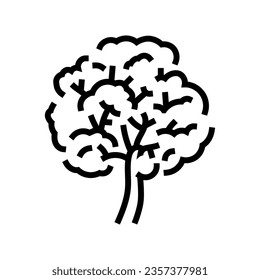 ipe jungle amazon line icon vector. signo de la amazonía de la selva ipe. símbolo de contorno aislado ilustración negra