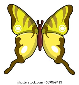 Iphiclides podalirius butterfly icon. Cartoon illustration of iphiclides podalirius butterfly vector icon for web design