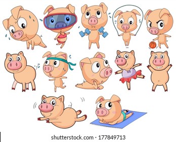 IPigs on a white baground