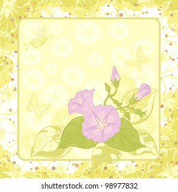 Ipomoea flowers and butterfly silhouettes on yellow and green background. Vector
