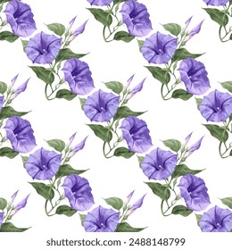 Ipomoea or morning glory blue violet flower vector seamless pattern. Beautiful summer flowers on white background.