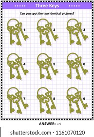 IQ and memory training visual puzzle for kids and adults with bunch of keys images: Can you spot the two identical pictures? Answer included.