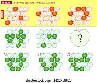 IQ TEST Intelligence Questions - Practical Questions Vector