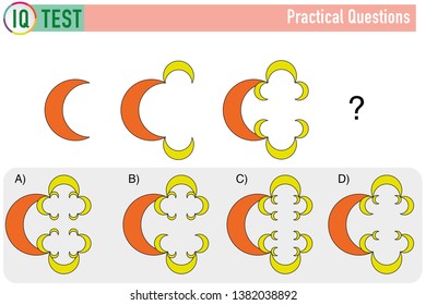 IQ Test - Practical Questions