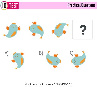 IQ Test Practical Questions Vector