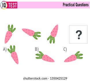 IQ Test Practical Questions Vector