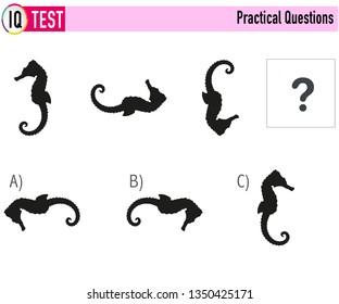 IQ Test Practical Questions Vector