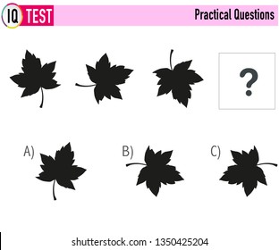 IQ Test Practical Questions Vector