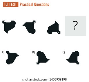 IQ TEST Practical Questions Vector ai