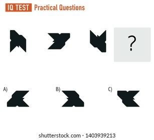 IQ TEST Practical Questions Vector ai