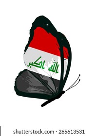 Iraq flag butterfly - vector