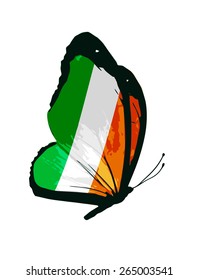 Ireland flag butterfly - vector