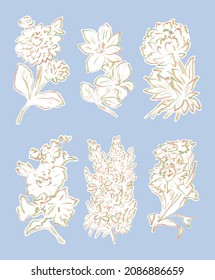 Lápiz irlandés dibujado a mano primavera y verano conjunto de ilustraciones florales. Dibujos naturales y rústicos de plantas