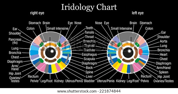 Iridology Chart Software