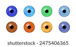 Iris anatomical poster. Human eye structure. Controlling the diameter and size of the pupil. Colorful lens, concept of vision. The amount of light reaching the retina, medical flat vector illustration