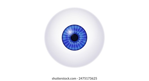 Iris anatomical poster. Human eye structure. Controlling the diameter and size of the pupil. Blue lens, concept of vision. The amount of light reaching the retina, medical flat vector illustration