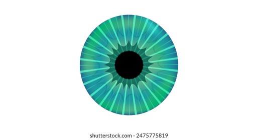 Iris anatomical poster. Human eye structure. Controlling the diameter and size of the pupil. Green lens, concept of vision. The amount of light reaching the retina, medical flat vector illustration