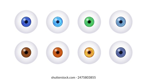 Iris anatomical poster. Human eye structure. Controlling the diameter and size of the pupil. Colorful lens, concept of vision. The amount of light reaching the retina, medical flat vector illustration