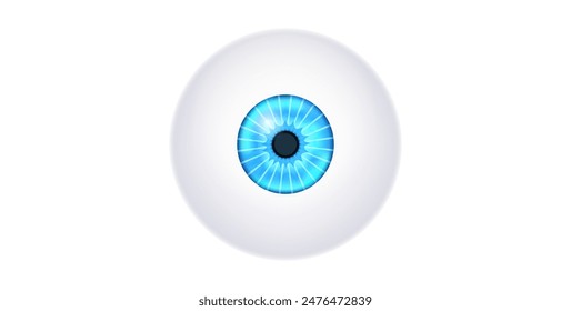 Iris anatomical poster. Human eye structure. Controlling the diameter and size of the pupil. Blue lens, concept of vision. The amount of light reaching the retina, medical flat vector illustration